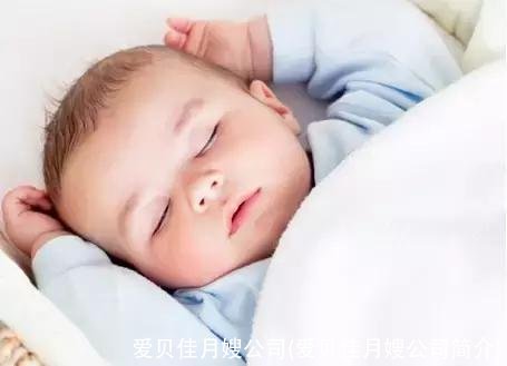 爱贝佳月嫂公司(爱贝佳月嫂公司简介)