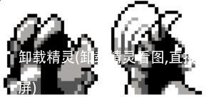 卸载精灵(卸载精灵看图,直接黑屏)