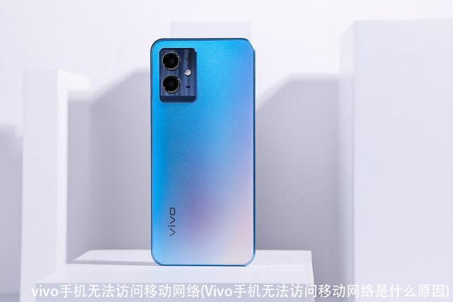 vivo手机无法访问移动网络(Vivo手机无法访问移动网络是什么原因)