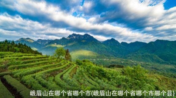 峨眉山在哪个省哪个市(峨眉山在哪个省哪个市哪个县)