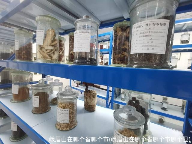 峨眉山在哪个省哪个市(峨眉山在哪个省哪个市哪个县)