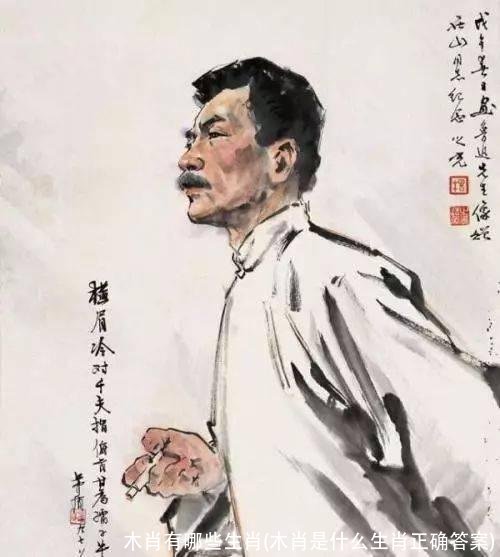 木肖有哪些生肖(木肖是什么生肖正确答案)