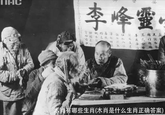 木肖有哪些生肖(木肖是什么生肖正确答案)