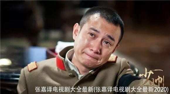 张嘉译电视剧大全最新(张嘉译电视剧大全最新2020)