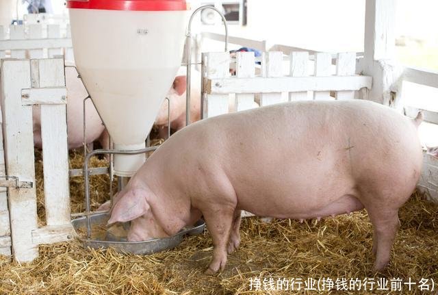 挣钱的行业(挣钱的行业前十名)