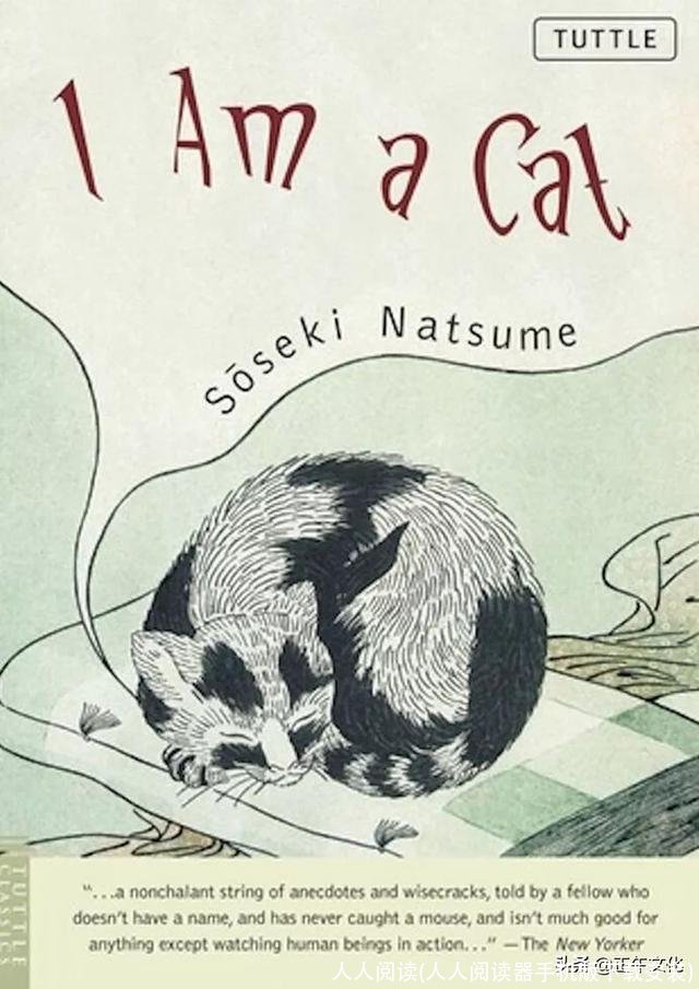 人人阅读(人人阅读器手机版下载安装)