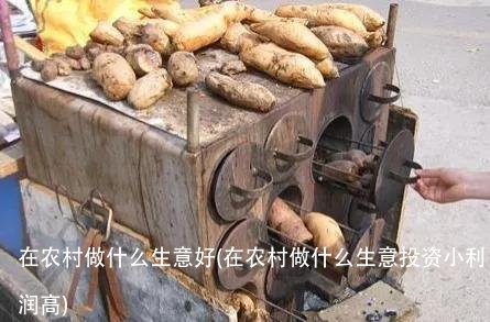 在农村做什么生意好(在农村做什么生意投资小利润高)