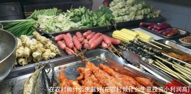 在农村做什么生意好(在农村做什么生意投资小利润高)