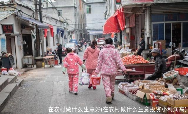 在农村做什么生意好(在农村做什么生意投资小利润高)