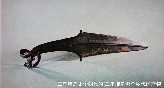 三星堆是哪个朝代的(三星堆是哪个朝代的产物)