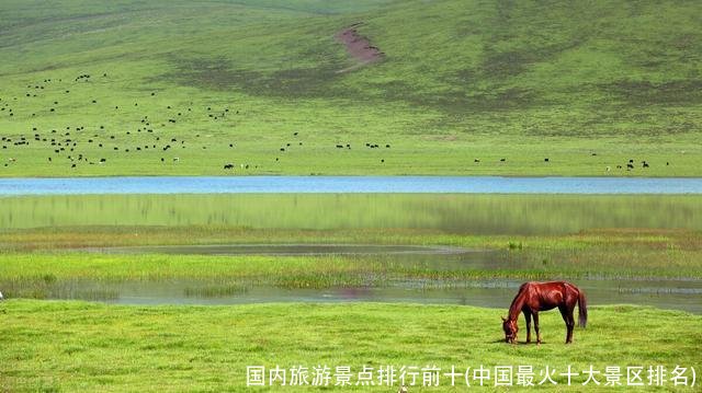国内旅游景点排行前十(中国最火十大景区排名)