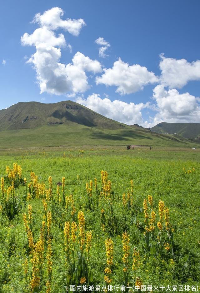 国内旅游景点排行前十(中国最火十大景区排名)