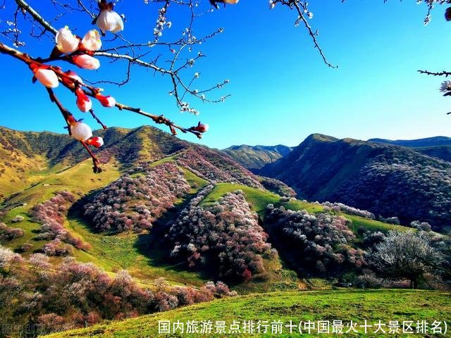国内旅游景点排行前十(中国最火十大景区排名)