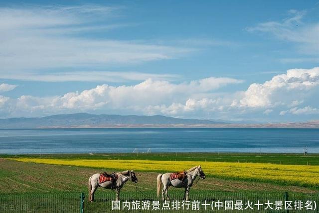 国内旅游景点排行前十(中国最火十大景区排名)