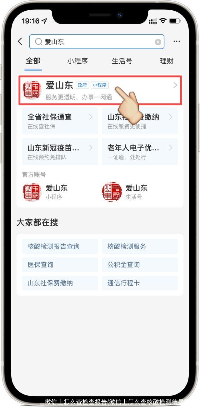 微信上怎么查检查报告(微信上怎么查核酸检测结果报告)