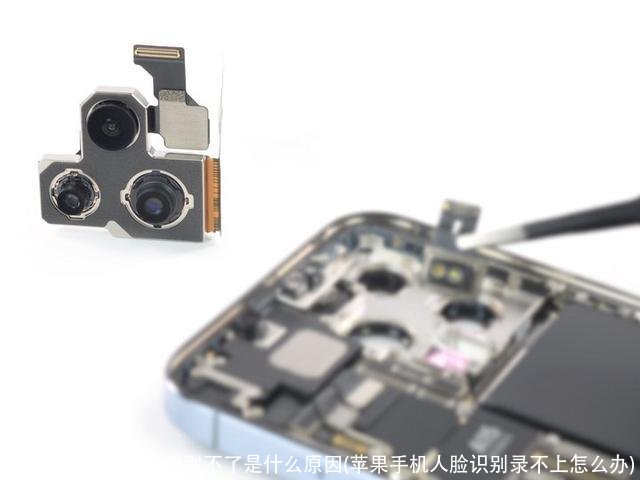 苹果手机人脸识别不了是什么原因(苹果手机人脸识别录不上怎么办)