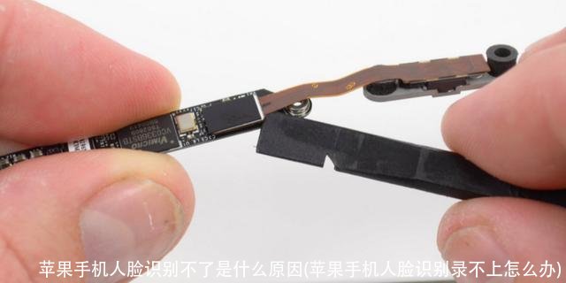 苹果手机人脸识别不了是什么原因(苹果手机人脸识别录不上怎么办)