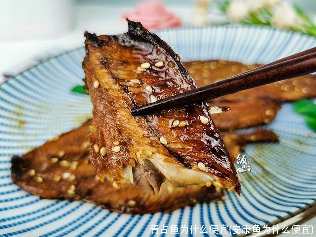 青占鱼为什么便宜(安康鱼为什么便宜)