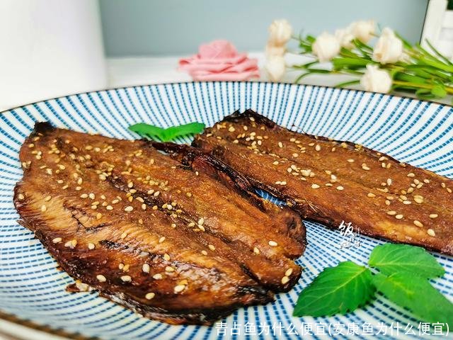 青占鱼为什么便宜(安康鱼为什么便宜)