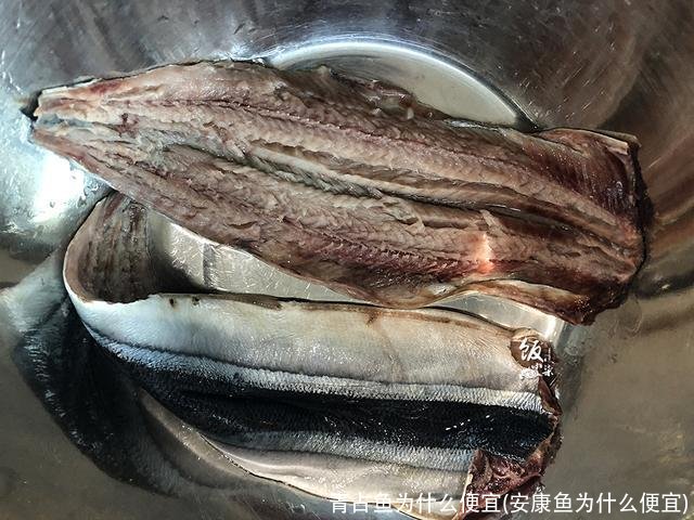 青占鱼为什么便宜(安康鱼为什么便宜)