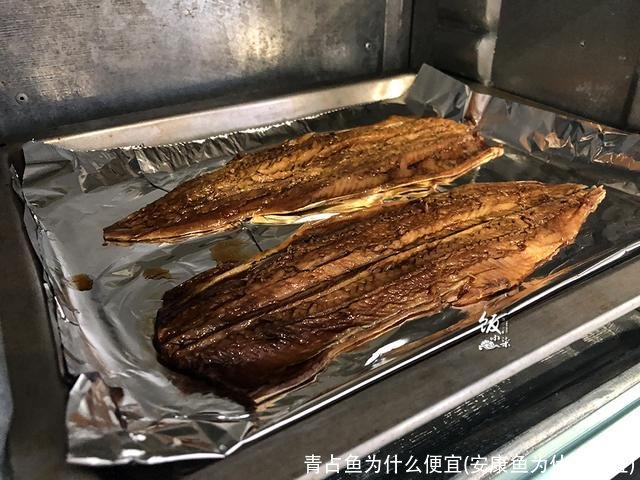 青占鱼为什么便宜(安康鱼为什么便宜)