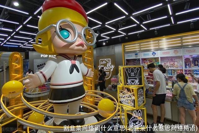 割韭菜网络词什么意思(老韭菜什么意思网络用语)