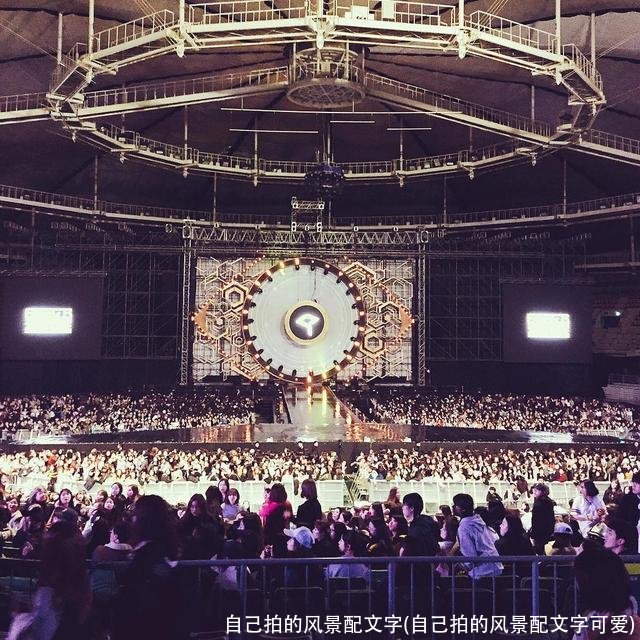 自己拍的风景配文字(自己拍的风景配文字可爱)