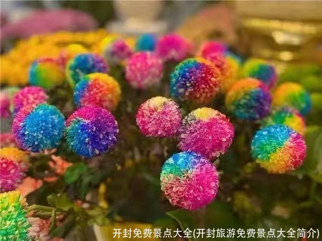 开封免费景点大全(开封旅游免费景点大全简介)