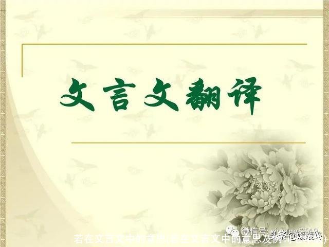 若在文言文中的意思(若在文言文中的意思及例句七年级)