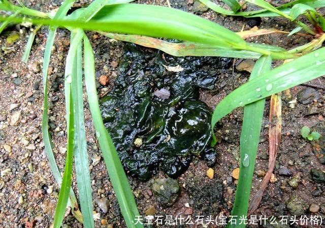 天宝石是什么石头(宝石光是什么石头价格)