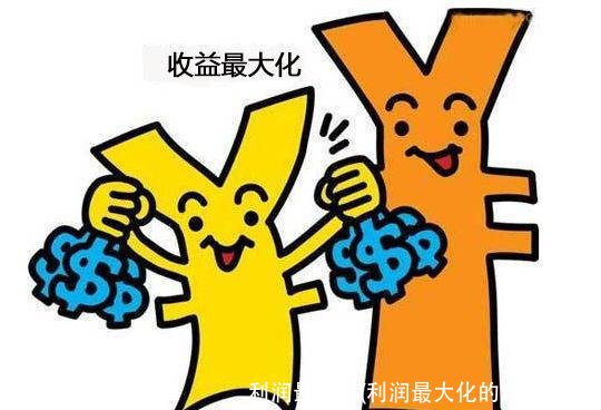 利润最大化(利润最大化的均衡条件)