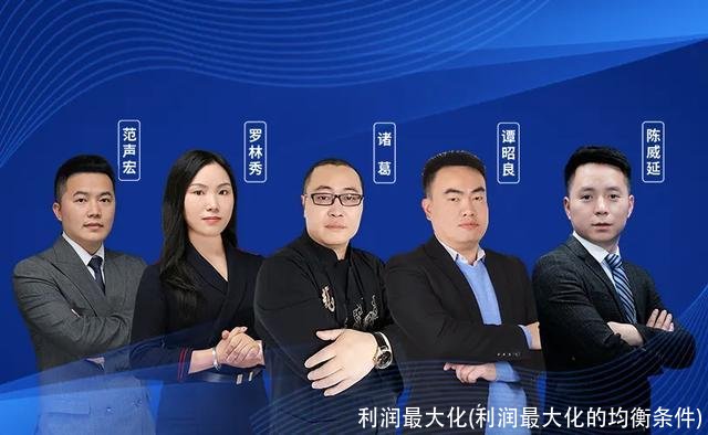 利润最大化(利润最大化的均衡条件)