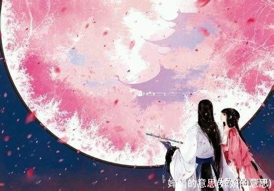 婵娟的意思(婵娟的意思)