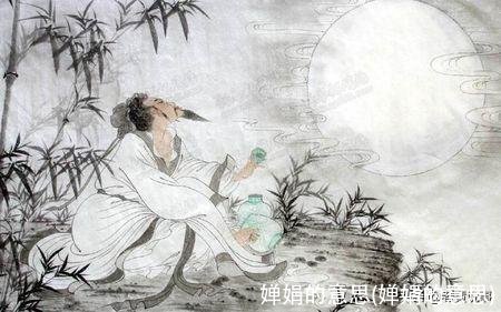 婵娟的意思(婵娟的意思)