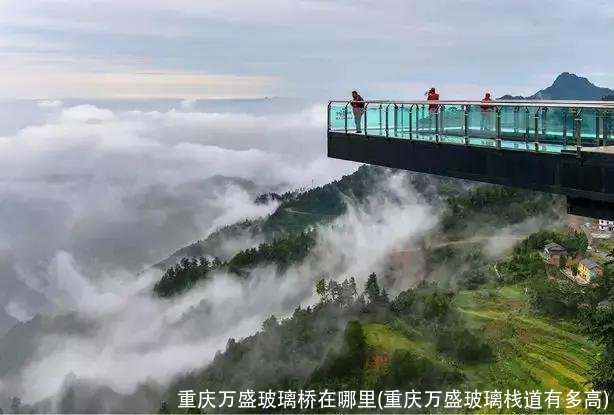 重庆万盛玻璃桥在哪里(重庆万盛玻璃栈道有多高)