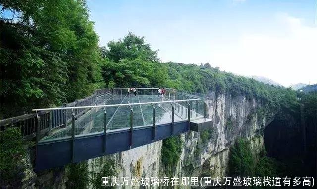 重庆万盛玻璃桥在哪里(重庆万盛玻璃栈道有多高)