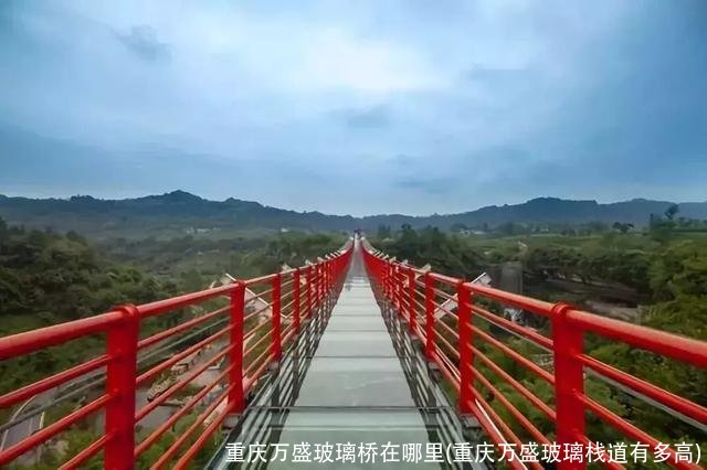 重庆万盛玻璃桥在哪里(重庆万盛玻璃栈道有多高)