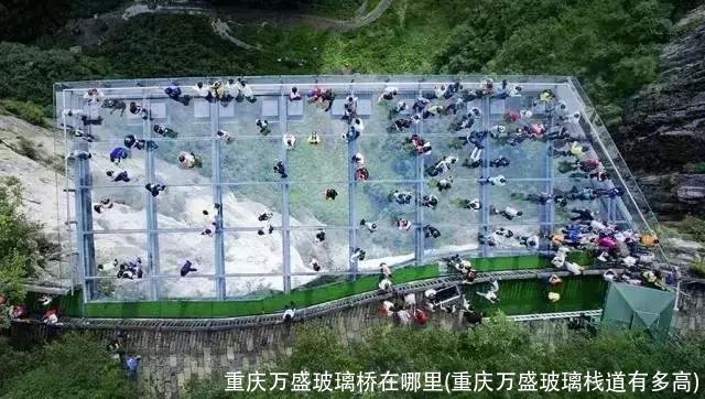 重庆万盛玻璃桥在哪里(重庆万盛玻璃栈道有多高)