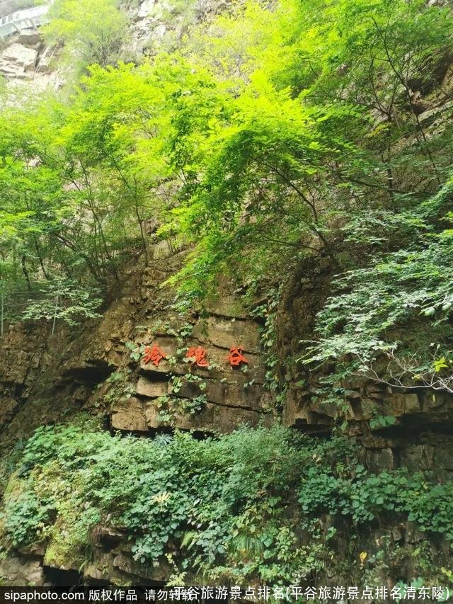 平谷旅游景点排名(平谷旅游景点排名清东陵)