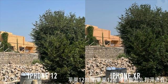 苹果12拍照(苹果12拍照声音怎么打开声音)