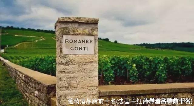 葡萄酒品牌前十名(法国干红葡萄酒品牌前十名)