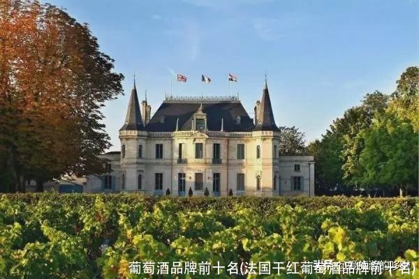 葡萄酒品牌前十名(法国干红葡萄酒品牌前十名)