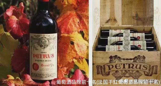葡萄酒品牌前十名(法国干红葡萄酒品牌前十名)