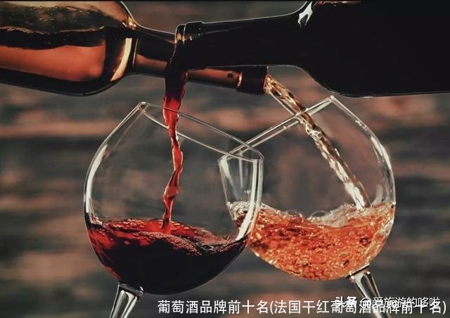 葡萄酒品牌前十名(法国干红葡萄酒品牌前十名)