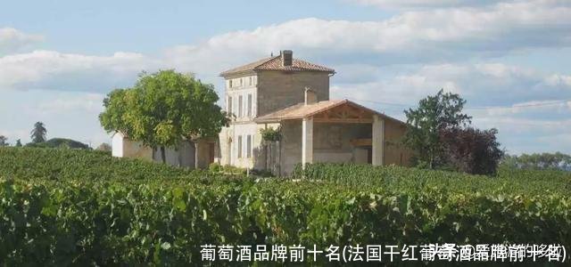 葡萄酒品牌前十名(法国干红葡萄酒品牌前十名)