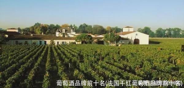 葡萄酒品牌前十名(法国干红葡萄酒品牌前十名)