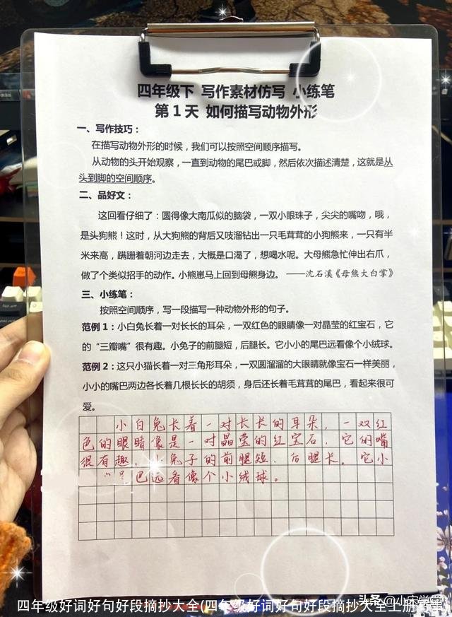 四年级好词好句好段摘抄大全(四年级好词好句好段摘抄大全上册写事)