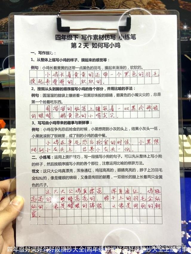 四年级好词好句好段摘抄大全(四年级好词好句好段摘抄大全上册写事)