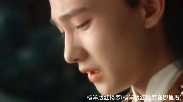 杨洋版红楼梦(杨洋版红楼梦在哪里看)