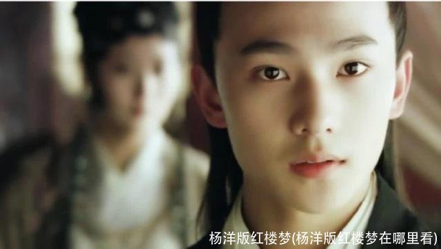 杨洋版红楼梦(杨洋版红楼梦在哪里看)